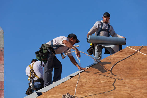Best Local Roofing Companies  in Fort Myers Shores, FL